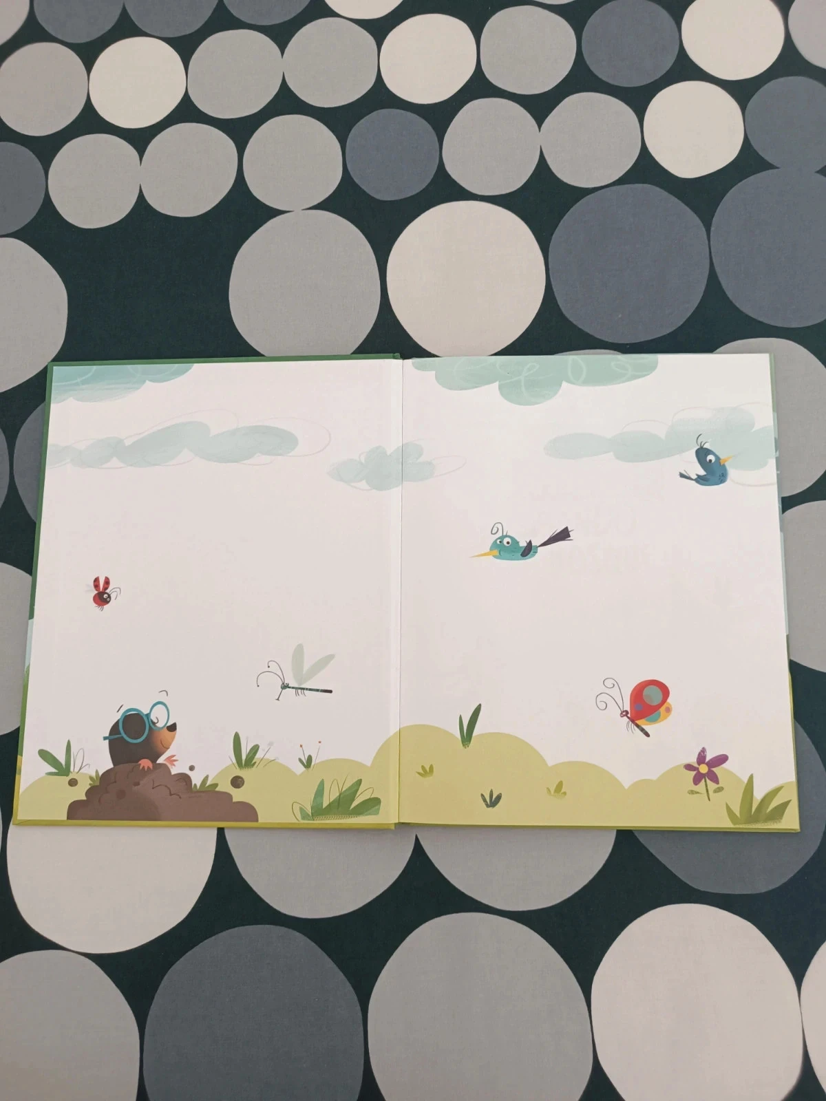 Livro Bando do Bosque - Zunzuns, Rugidos e Outras Aventuras – photo 4